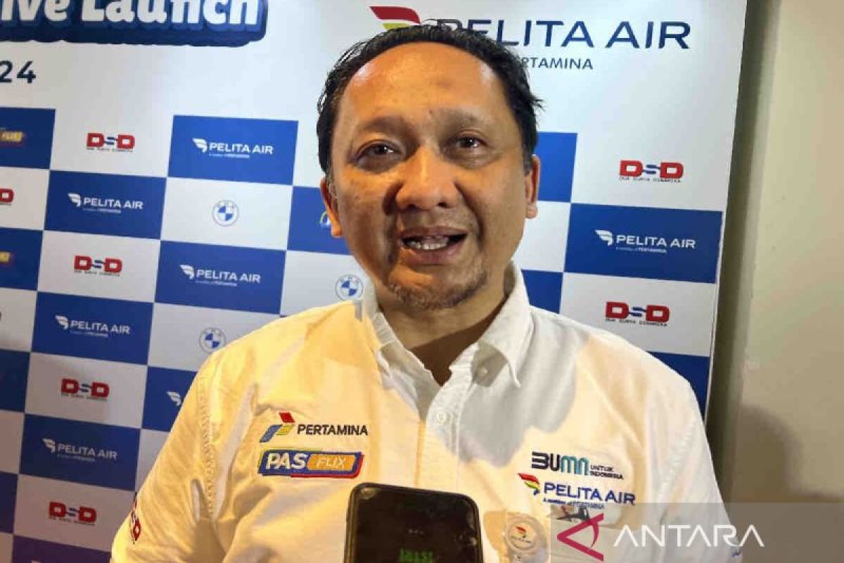 Pelita Air bidik ekspansi rute internasional Singapura dan Bangkok