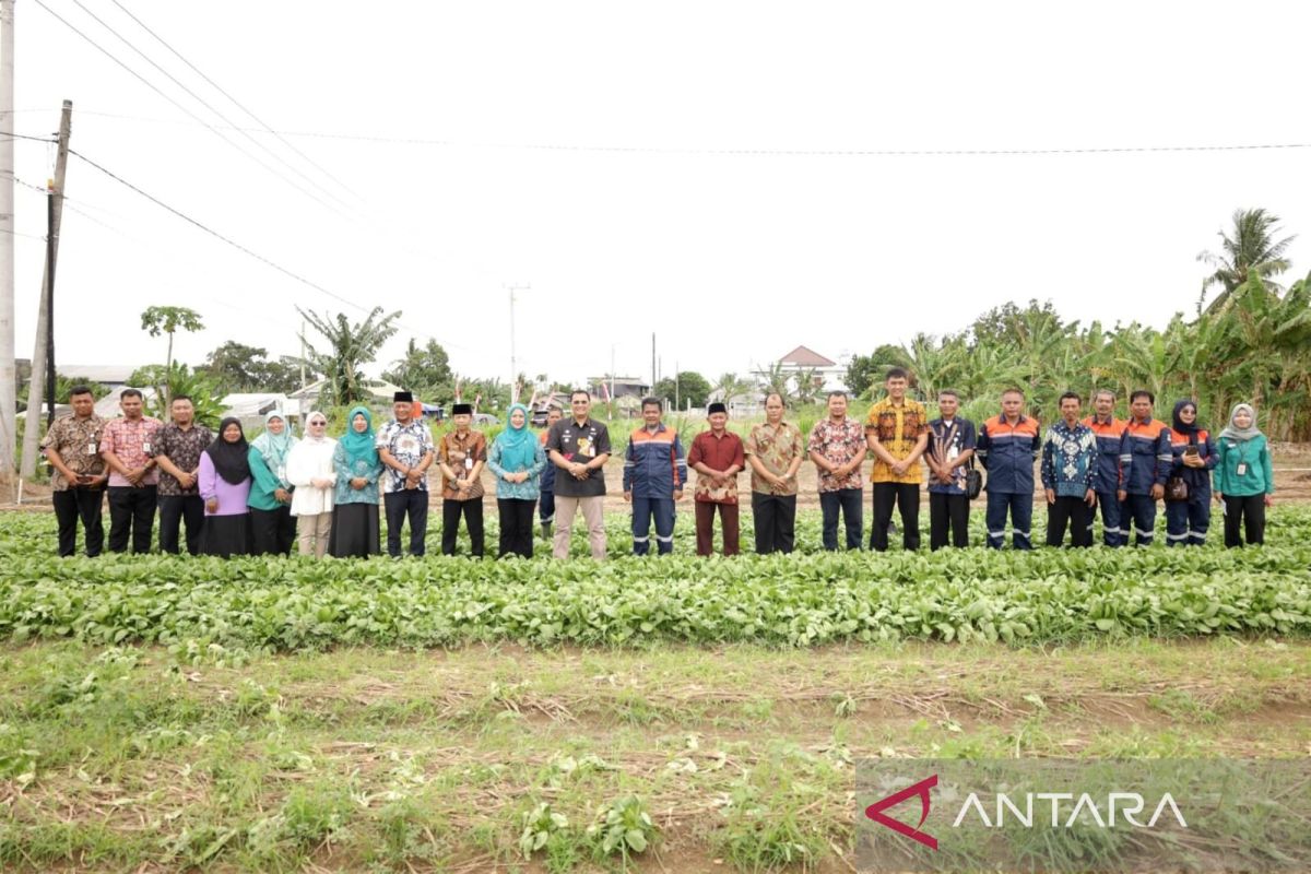 Pj Wali Kota Pangkalpinang dan Pj Ketua TP PKK serap aspirasi KWT dan kelompok tani