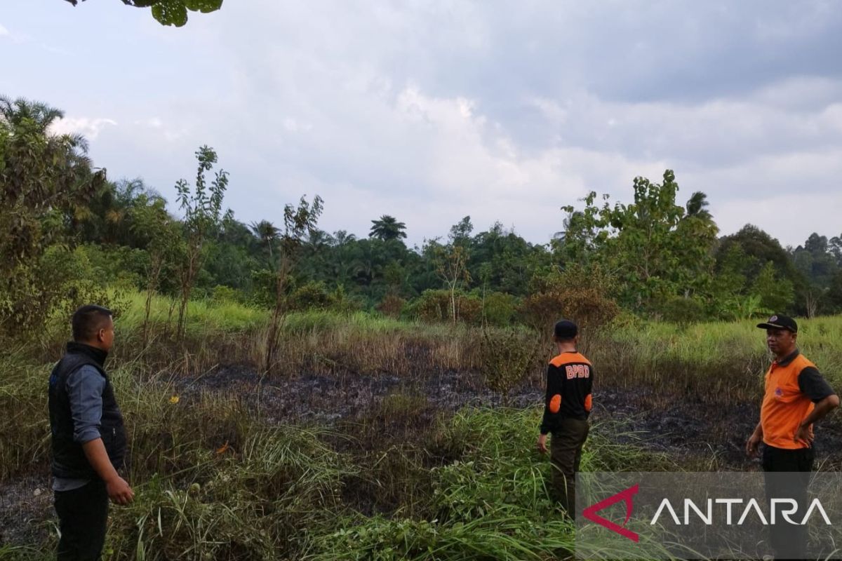 BPBD OKU Selatan petakan tujuh kecamatan  rawan karhutla