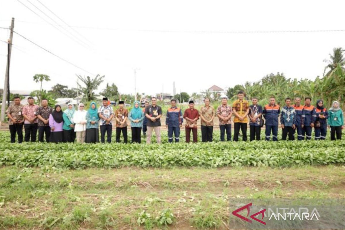 Pemkot Pangkalpinang fasilitasi pengembangan kelompok wanita tani