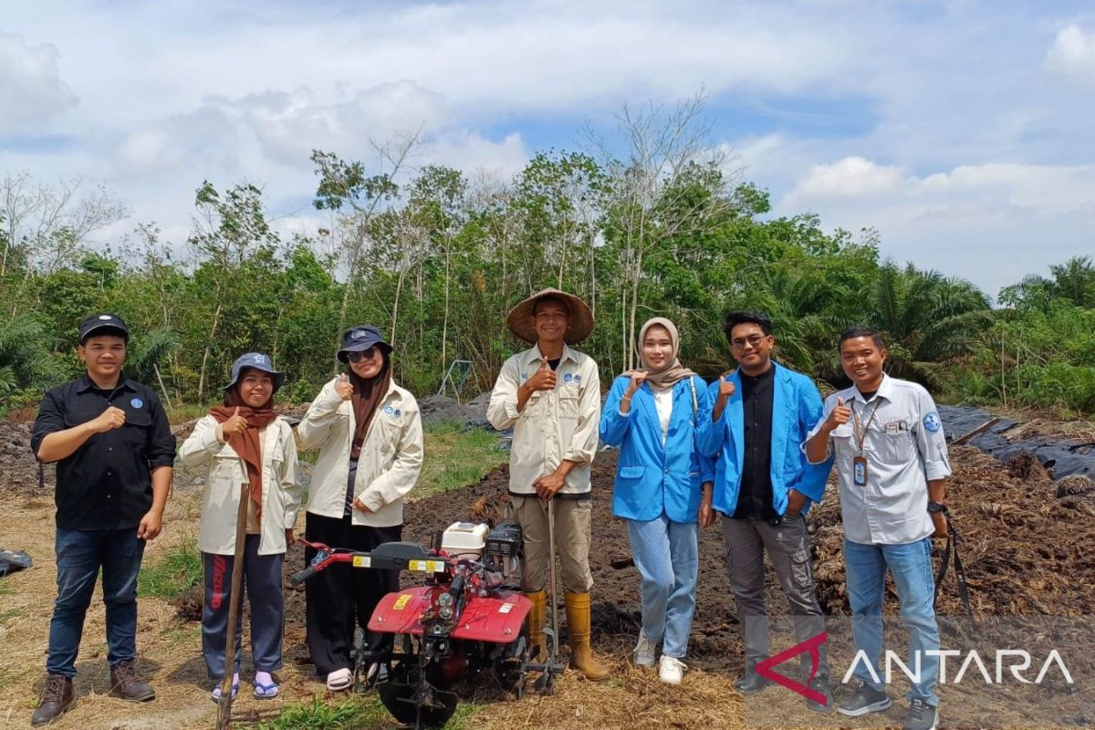 Tim MBKM Kewirausahaan UBB produksi kompos dari limbah sawit