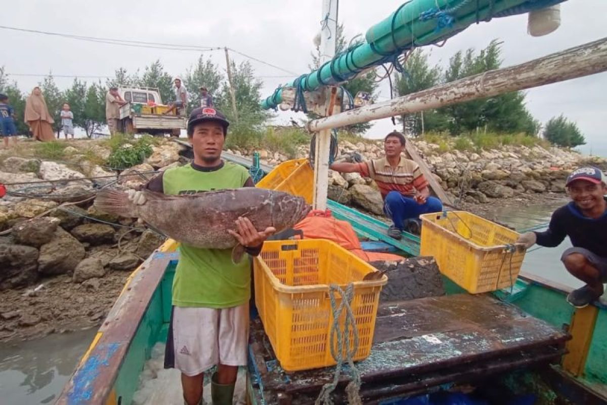 Pemkab Lamongan sebut produksi ikan tangkap capai 33 ribu ton