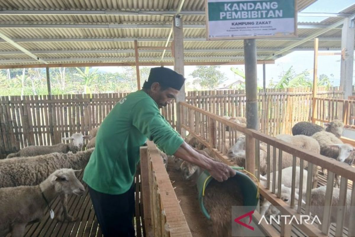 Balai ternak Baznas RI wujudkan kedaulatan pangan