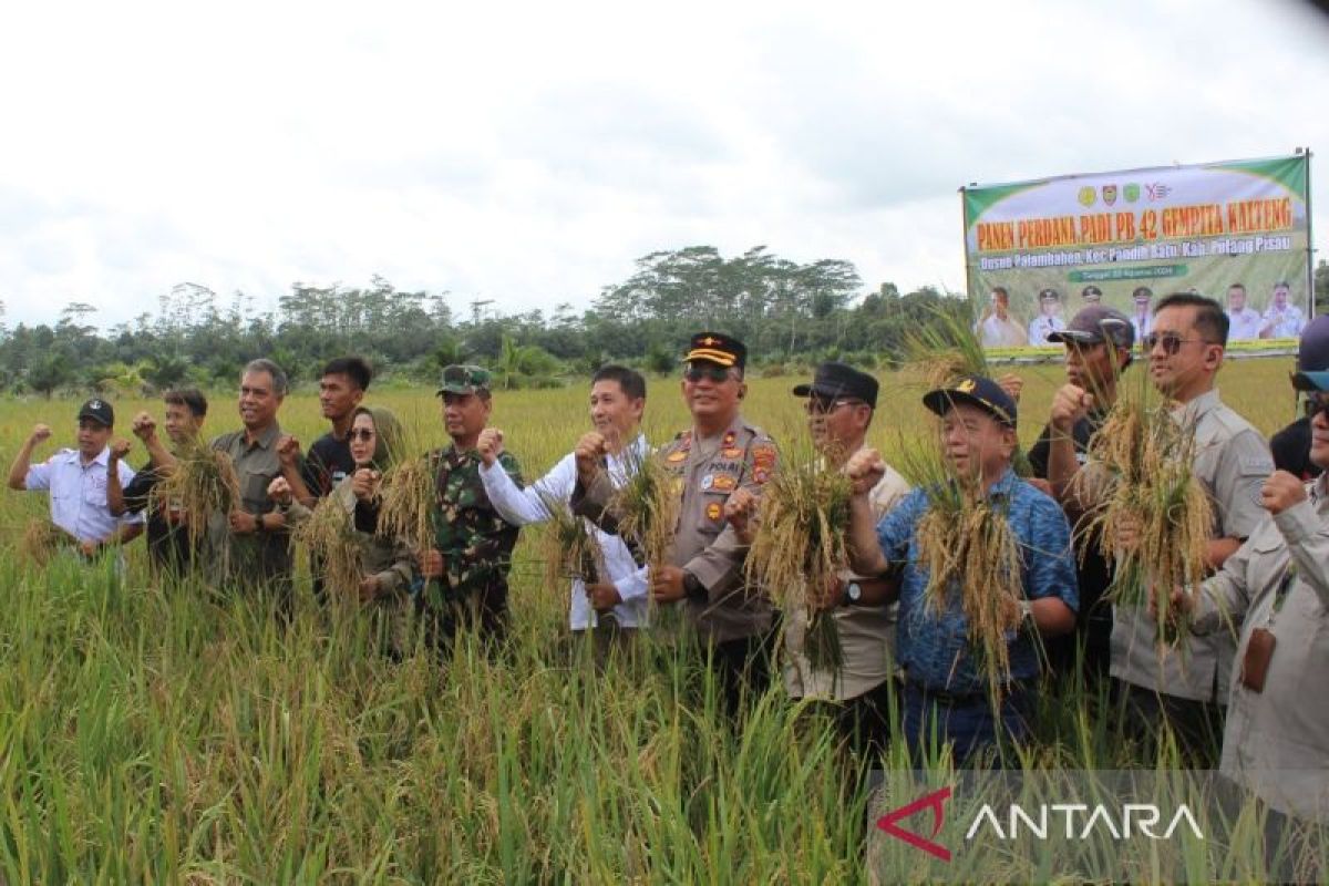 Kementan: Pemuda harus ambil peran dalam bidang pertanian