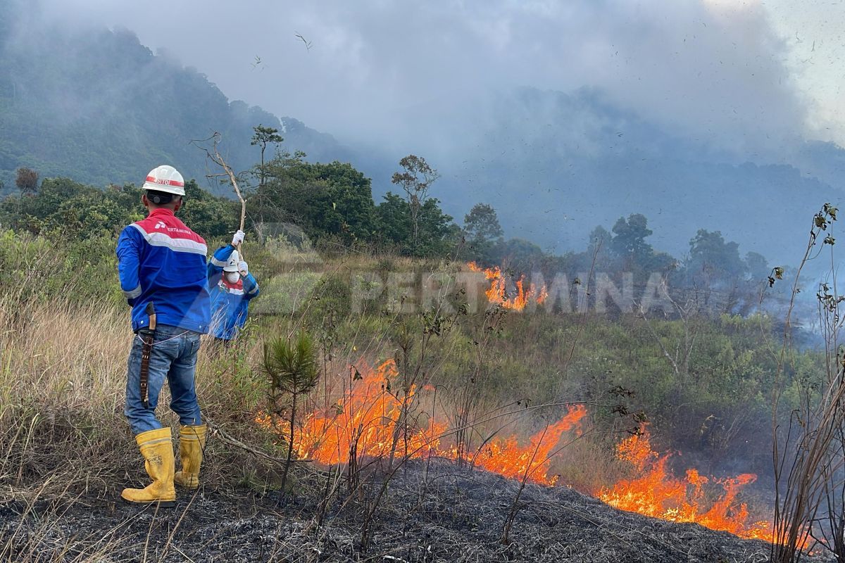 Respons Pertamina Geothermal Energy Area Kamojang bantu padamkan kebakaran hutan Gunung Guntur