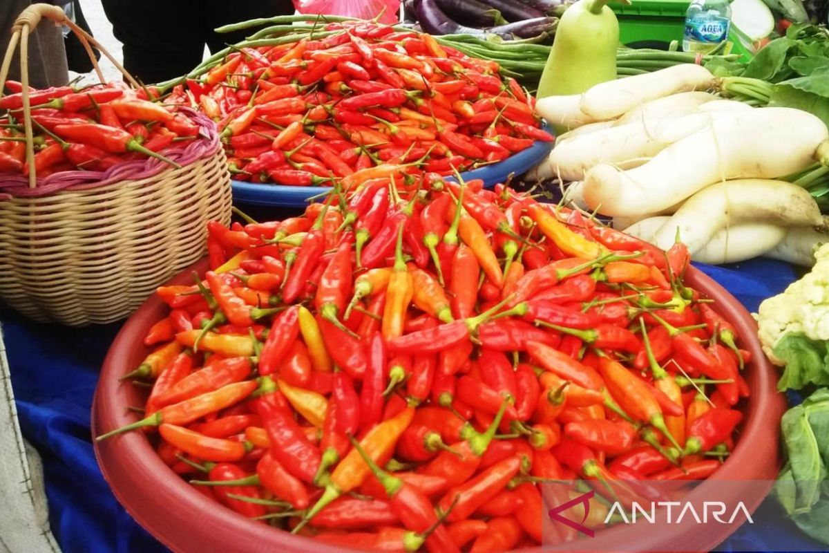 Mentan dorong pengelolaan komoditas hortikultura skala rumah tangga