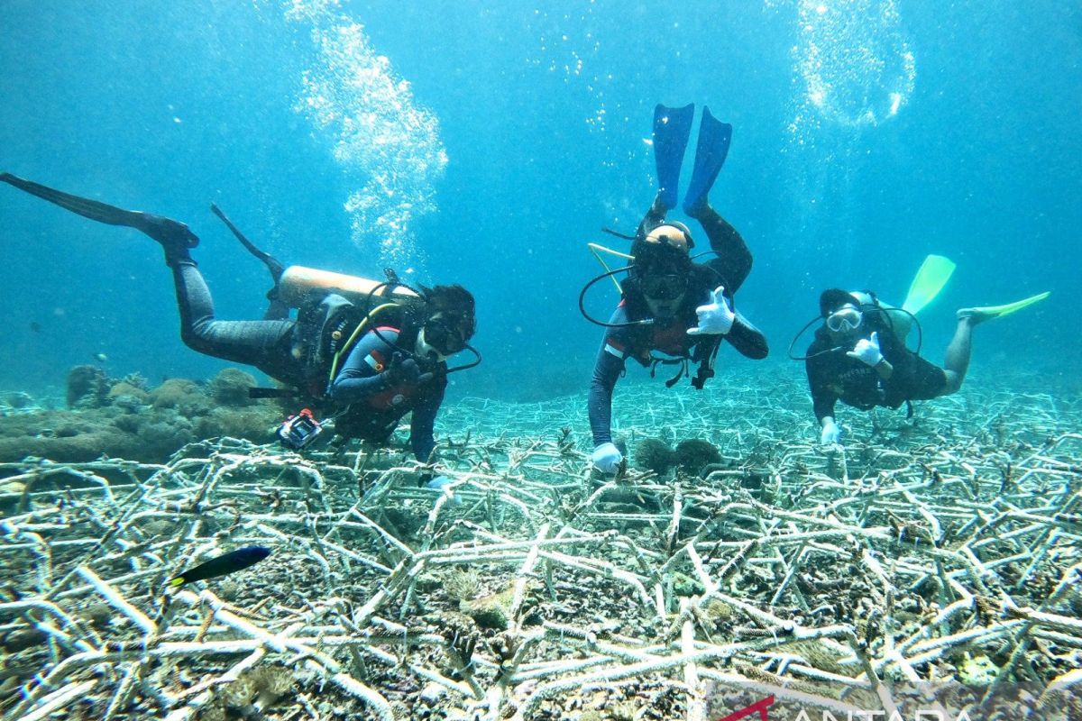 CTC majukan kawasan konservasi laut RI dukung ekonomi biru