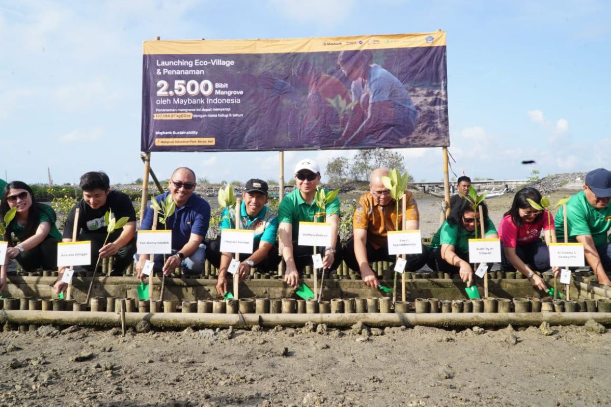 Maybank edukasi pelari maraton lewat eco-village dan tanam mangrove di Bali