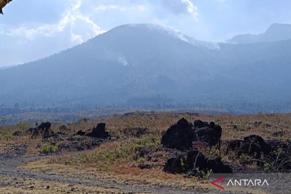 BPBD Garut: Kebakaran hutan di Gunung Guntur sudah padam