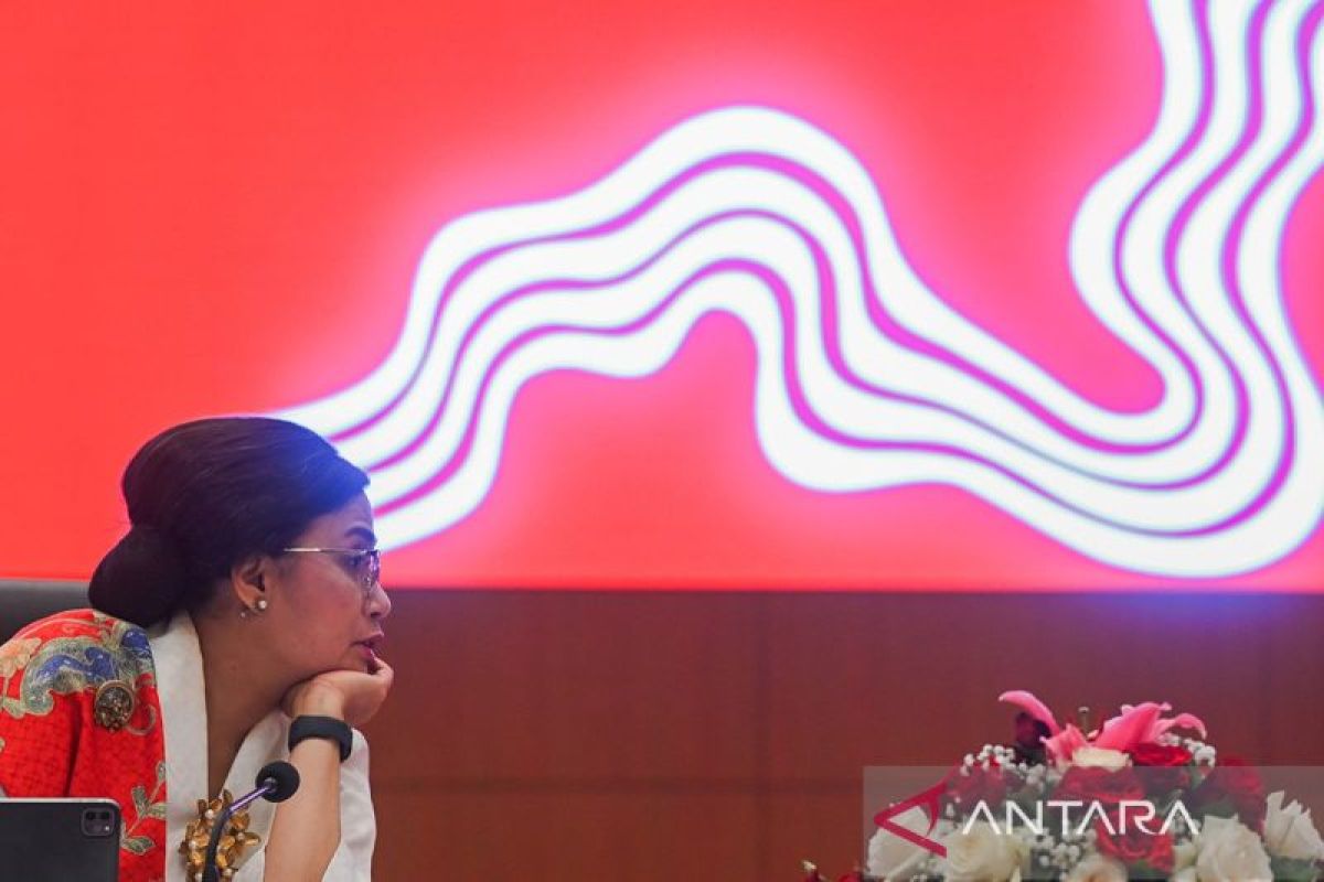 Sri Mulyani imbau masyarakat tak tertipu akun palsu di TikTok