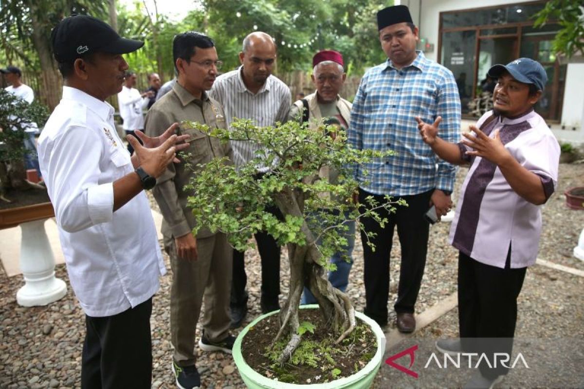 Pj wali kota ajak warga Banda Aceh kembangkan industri bonsai