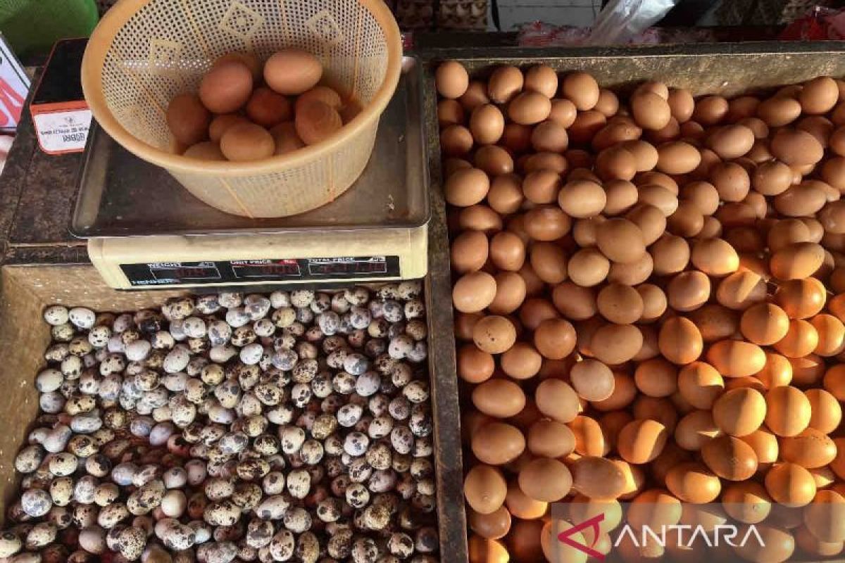 Harga pangan Sabtu turun, Telur Rp28.100 per kg, cabai Rp55.030 per kg