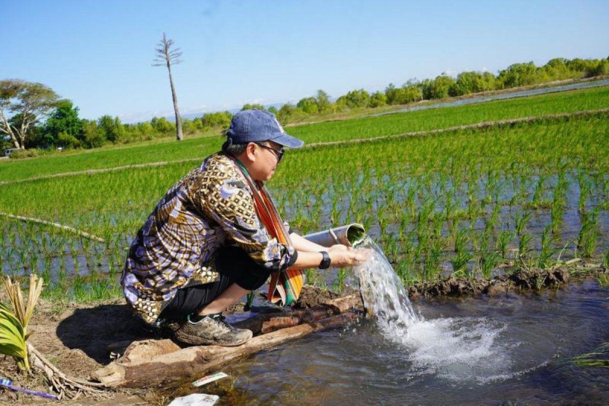 Distan Banten sebut pompanisasi naikkan nilai tukar petani