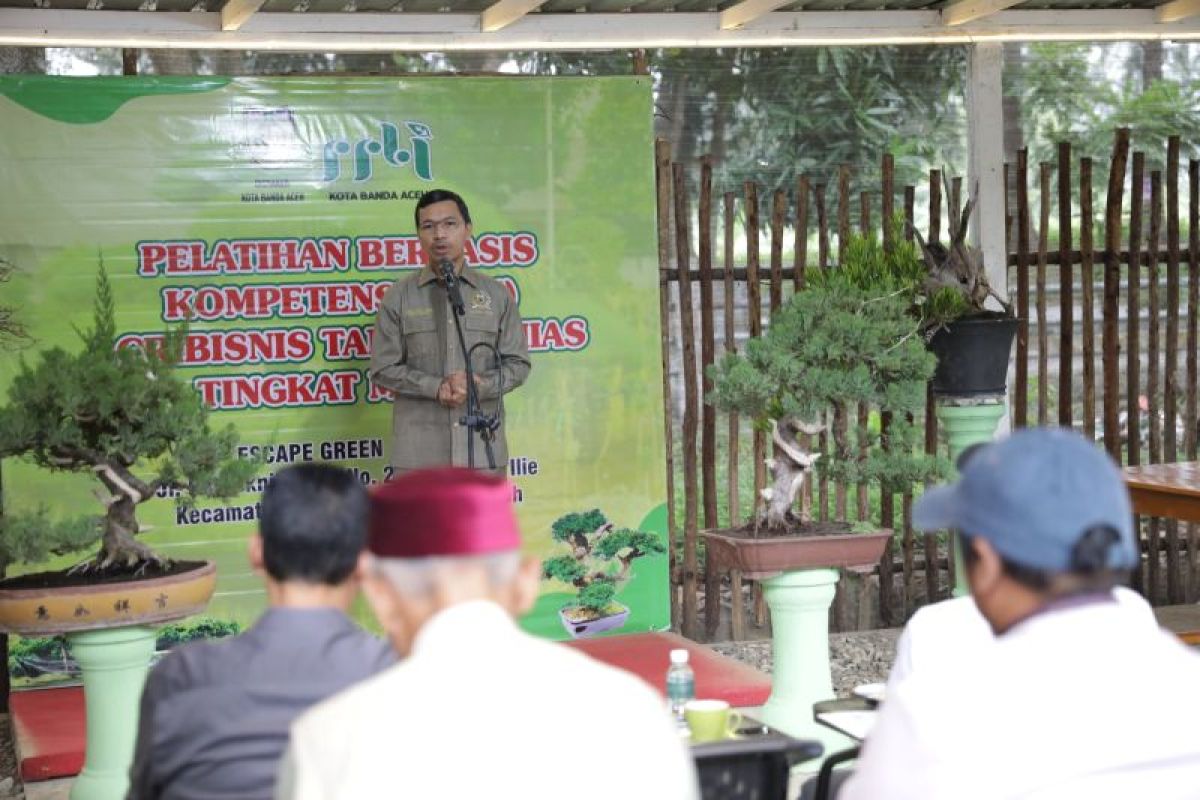 DPRK Banda Aceh dukung pengembangan tanaman bonsai karena bernilai ekonomi