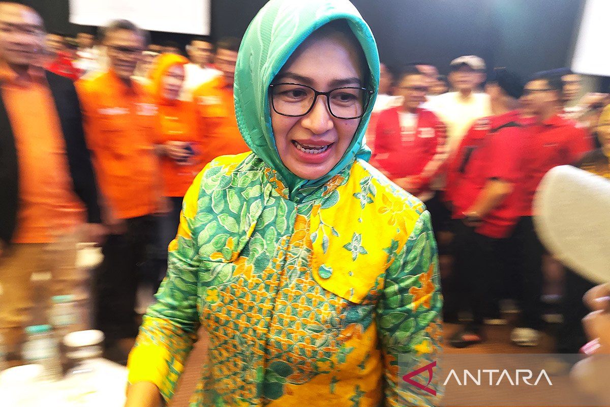 Airin tak dapat dukungan Golkar pada Pilgub Banten