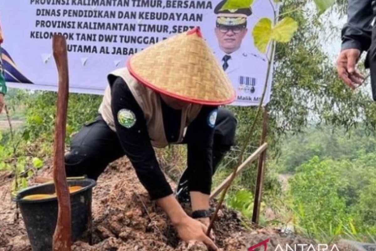 Pj Gubernur Kaltim tanam pohon  di lahan kritis bekas tambang