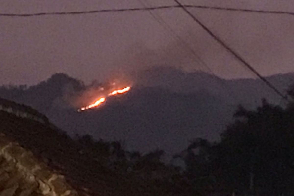 Petugas gabungan dikerahkan padamkan karhutla di kawasan Coban Rondo