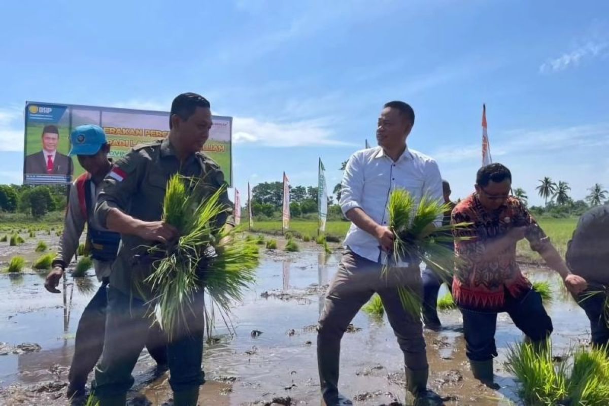 Pemkab Kubu Raya lakukan pembinaan untuk tingkatkan produksi beras