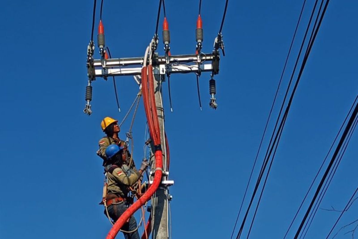 PLN siapkan empat lapis pasokan listrik Forum Indonesia-Afrika di Bali