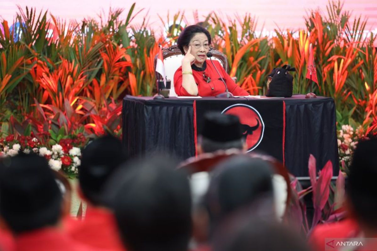 Megawati minta Ahok tak banyak 