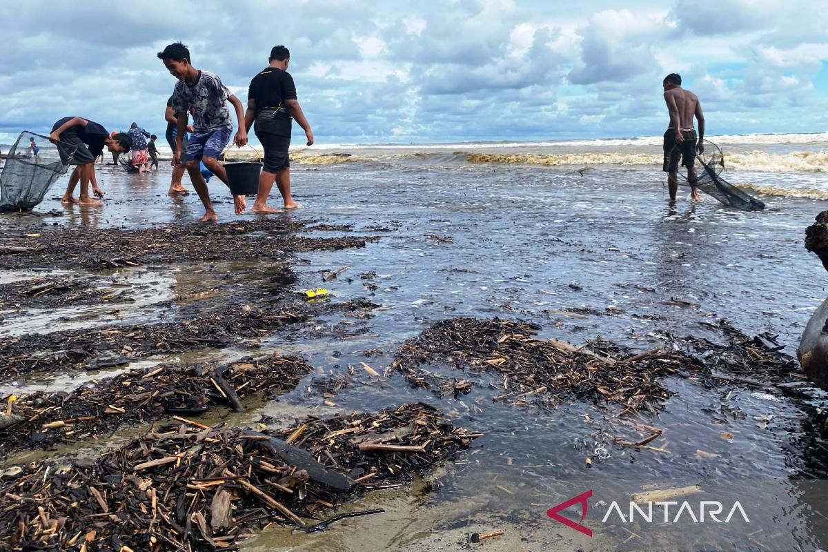 Tumpahan batu bara di pantai Aceh Barat kembali terulang jelang PON XXI, warga dibayar Rp25 ribu/karung