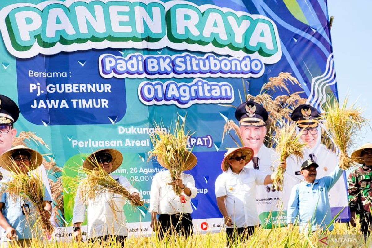 Pj Gubernur Jatim dan Bupati Situbondo panen raya padi BK 01 Agritan