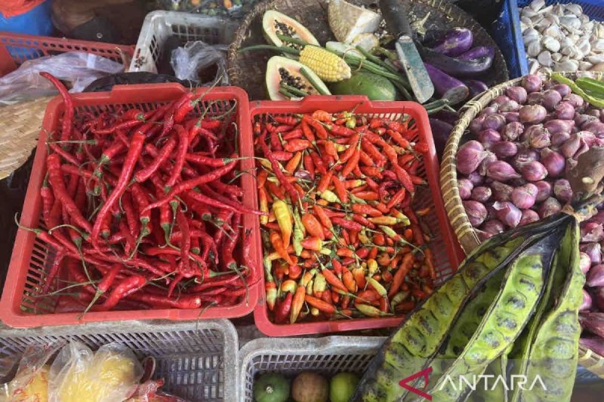 Harga pangan Senin mayoritas turun, cabai rawit jadi Rp52.900/kg