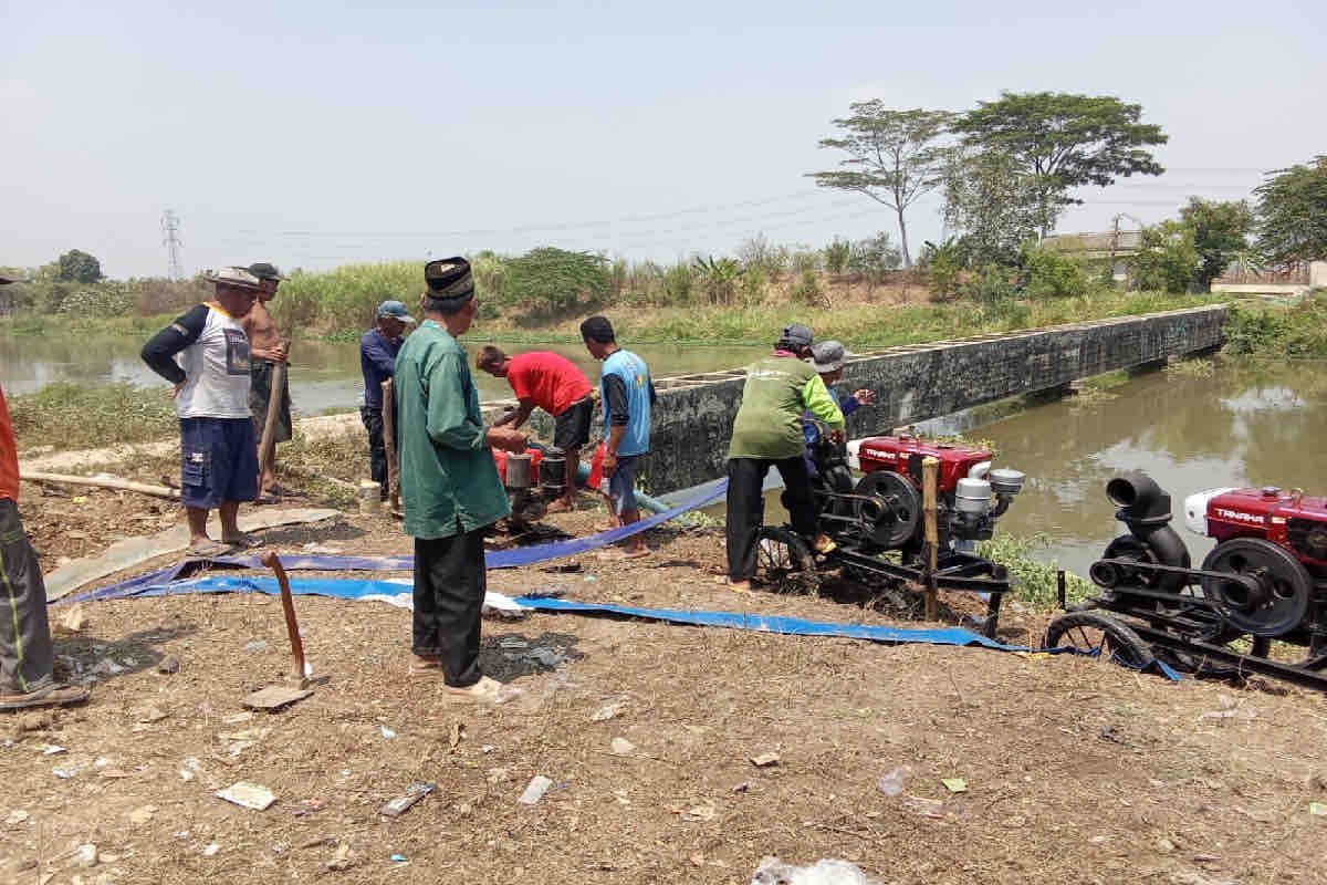 Kementan-Pemkab Subang gerak cepat pasang pompa di lahan sentra padi