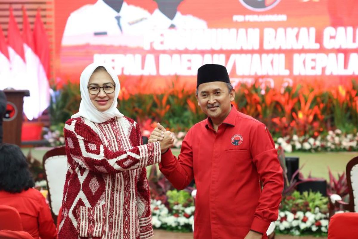 Megawati minta Airin kenakan pakaian merah hitam di pengumuman cakada