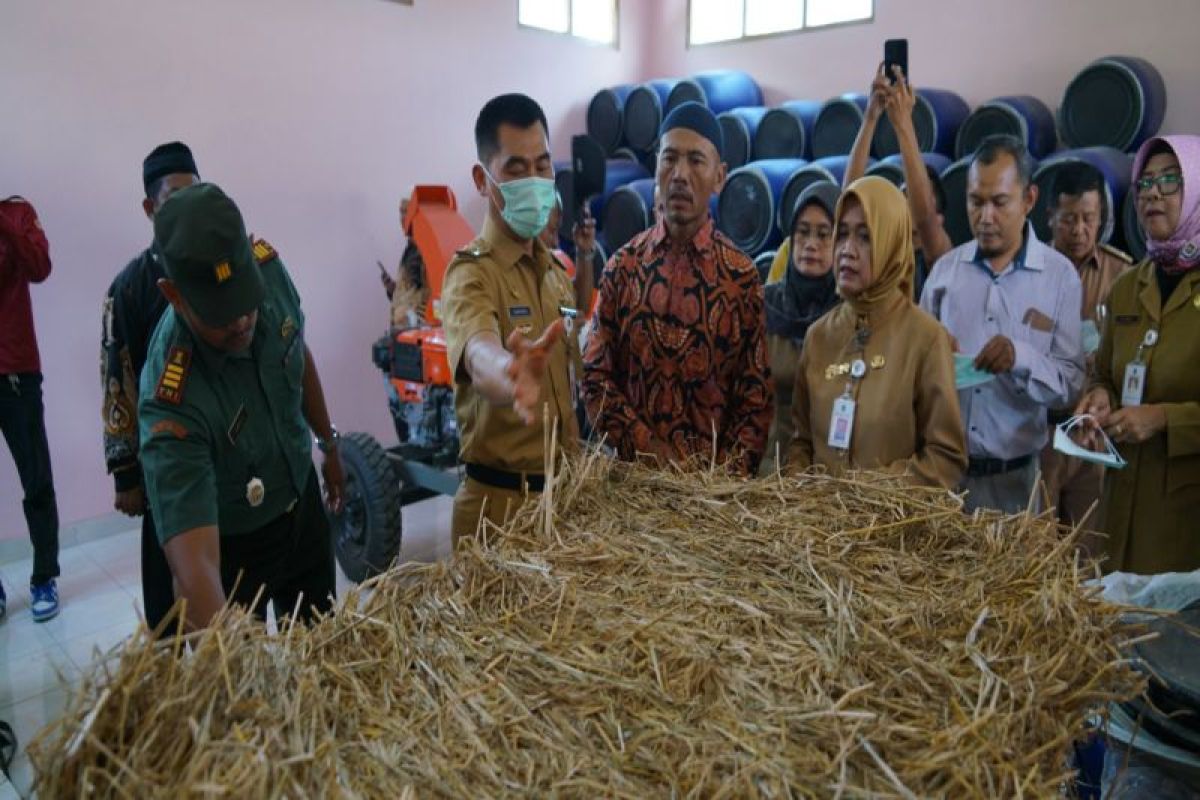 Gunungkidul perbanyak gudang pakan ternak antisipasi kemarau