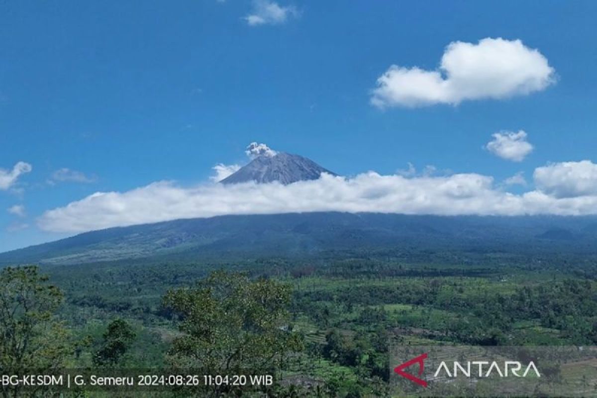 Gunung Semeru erupsi dengan letusan abu vulkanik ke arah barat daya