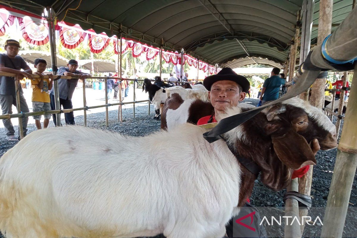 Pemkab Tanah Bumbu motivasi masyarakat kembangkan ternak kambing