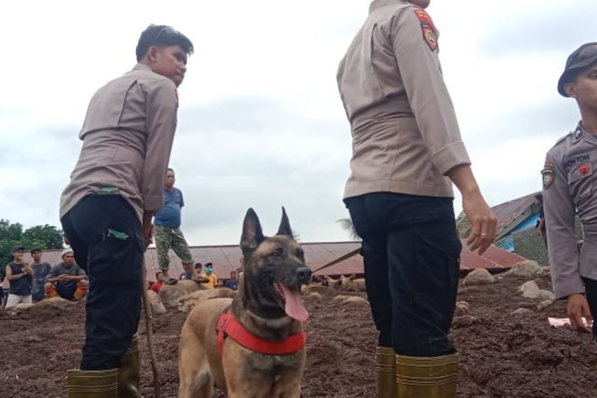 Polres kerahkan anjing pelacak cari korban banjir Ternate