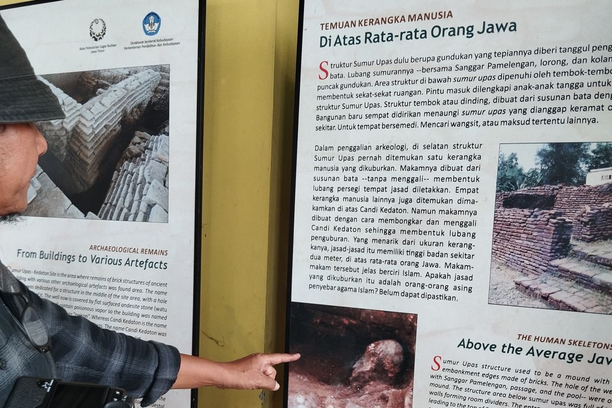 Balai Kebudayaan Jatim akan telusuri DNA kerangka manusia Majapahit