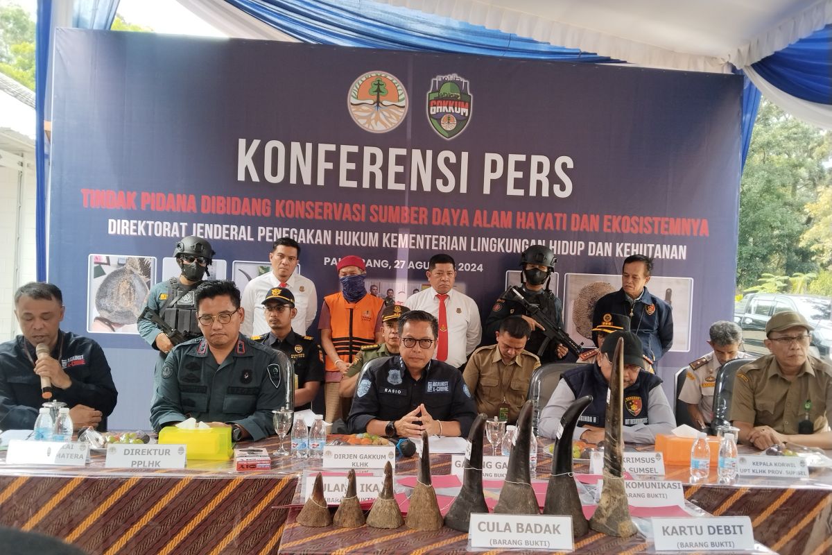 KLHK dalami kasus penyelundupan cula badak di Palembang