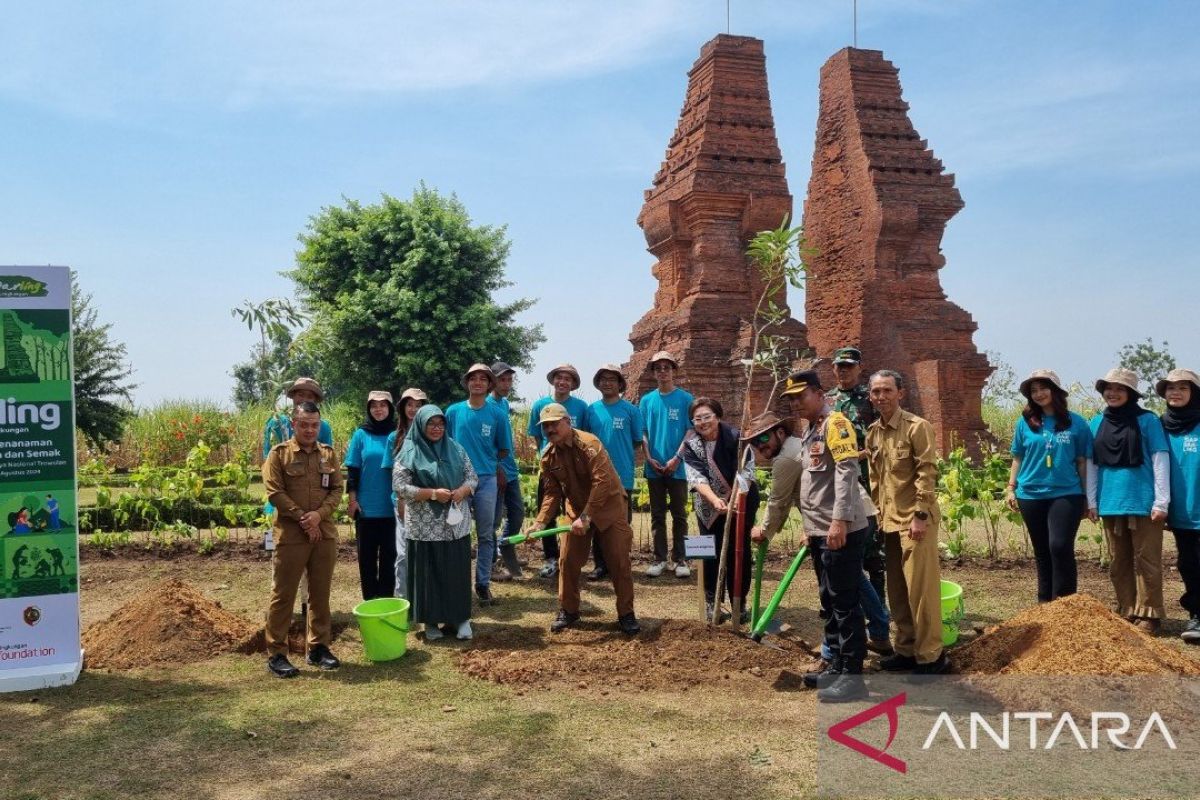 BLDF gandeng 150 mahasiswa tanam 6.208 bibit pohon di Situs Trowulan