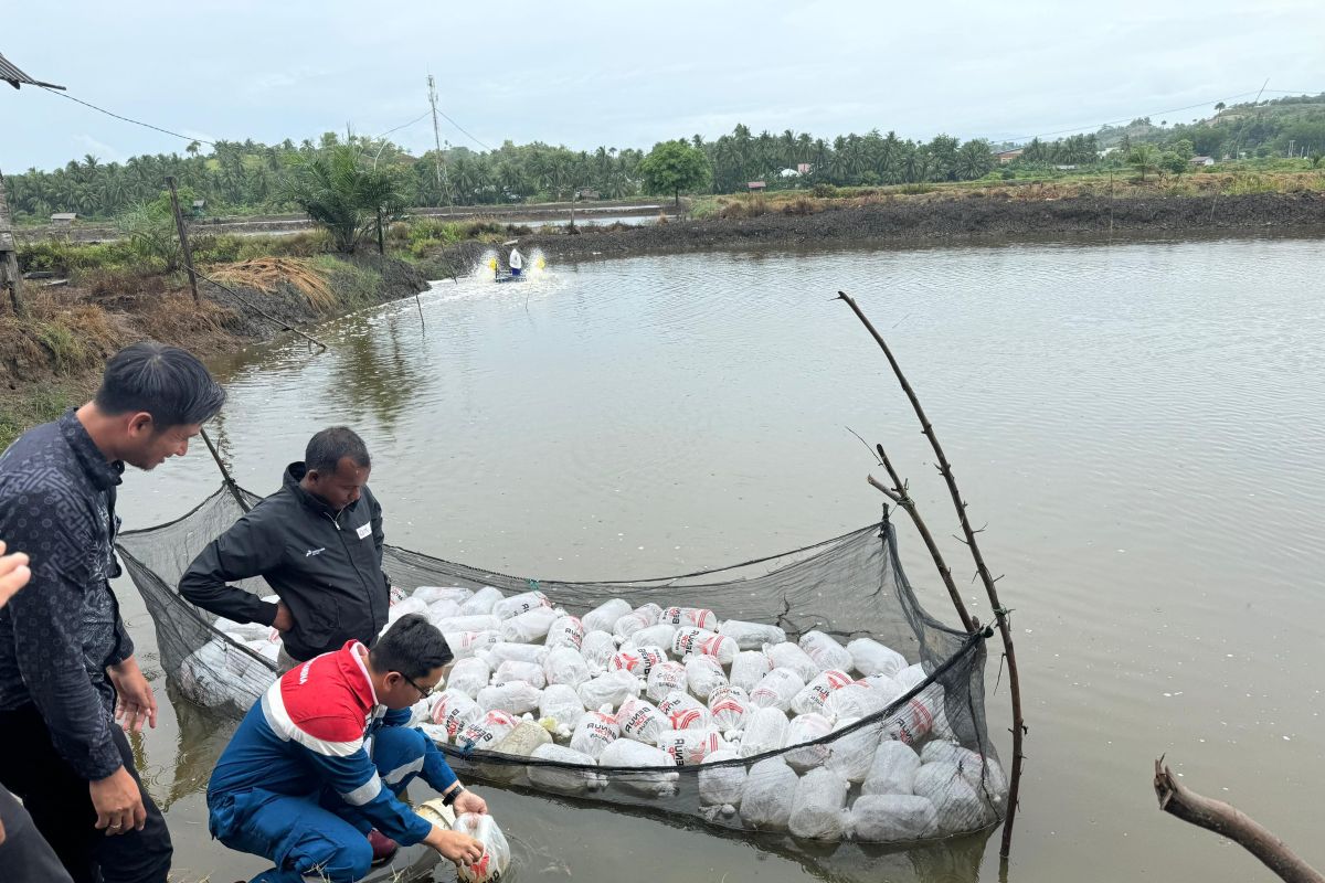 Pertamina menghadirkan Program Gampong Berdikari di Lhokseumawe