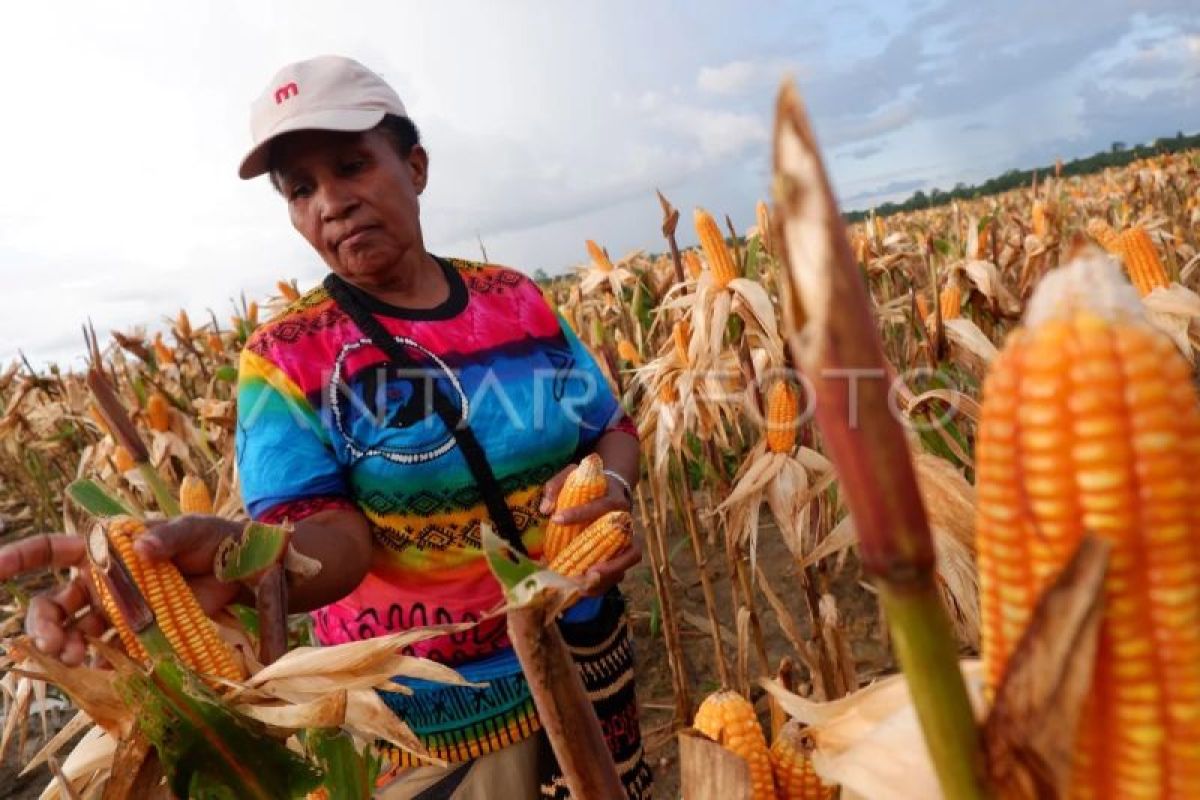 Usulan tambahan anggaran Rp68 triliun Kementan dinilai bebani fiskal