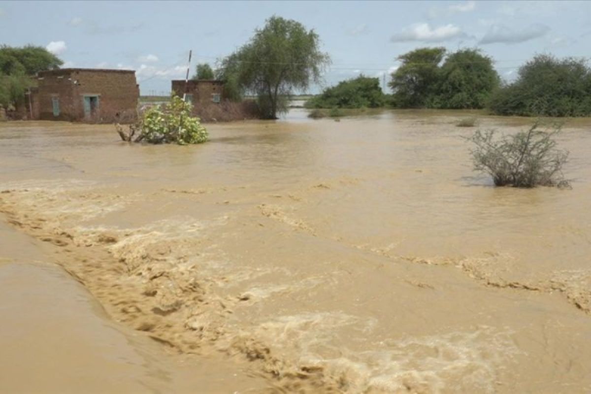 130 orang tewas akibat hujan deras dan banjir di Sudan