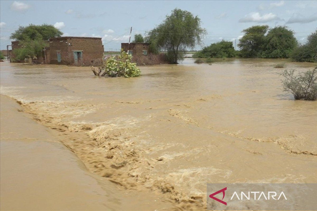 Korban tewas akibat banjir Sudan bertambah menjadi 205 orang