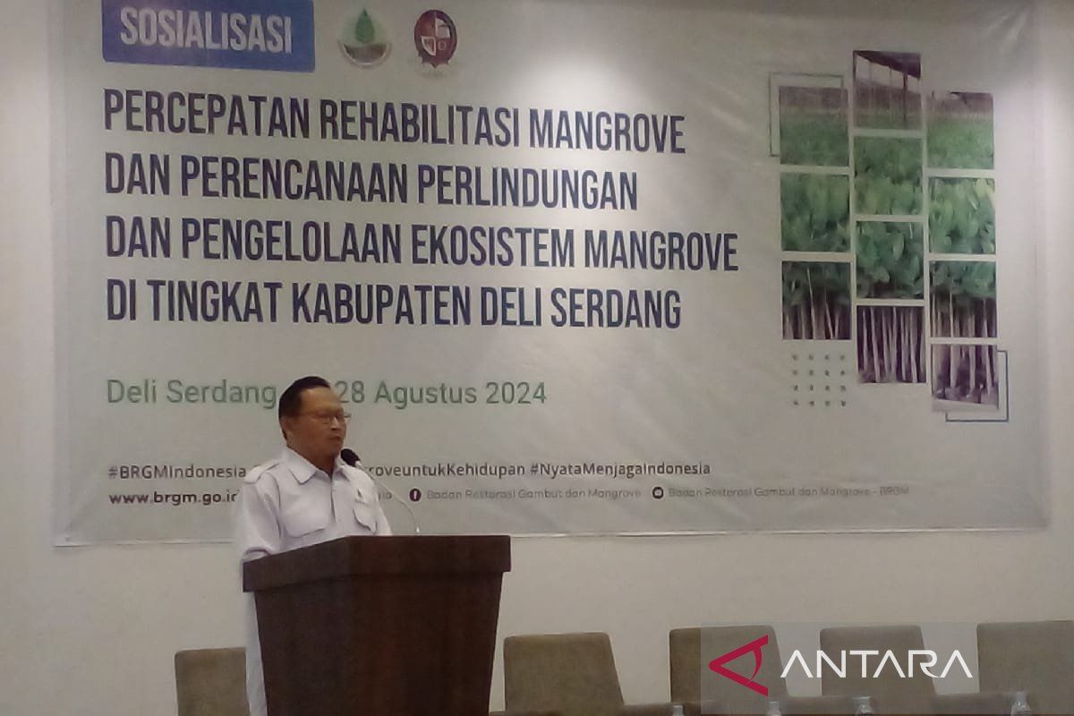 BRGM sosialisasi untuk percepat  rehabilitasi mangrove di Sumut