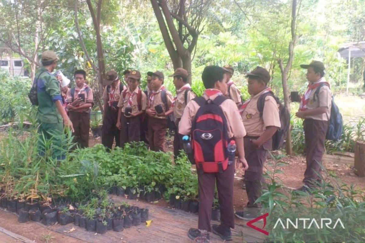 Masa depan Kurikulum Merdeka pasca pergantian kabinet