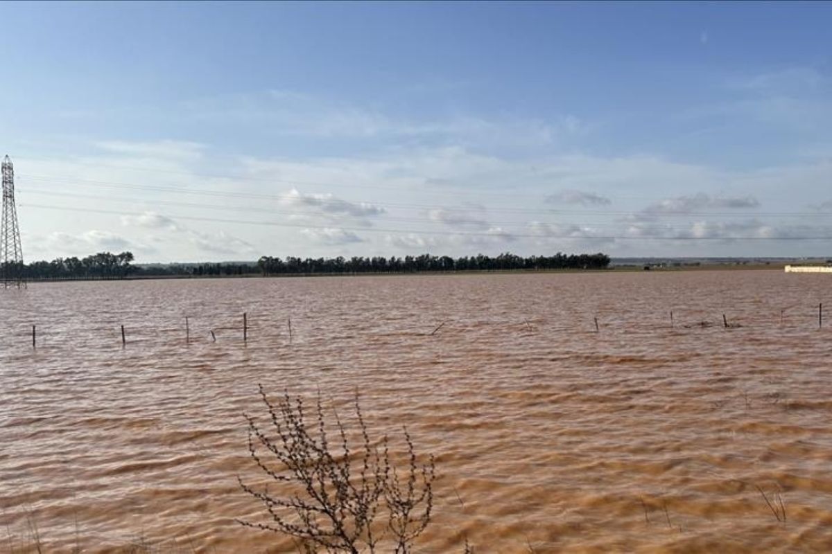 Banjir di Nigeria tewaskan 170 orang