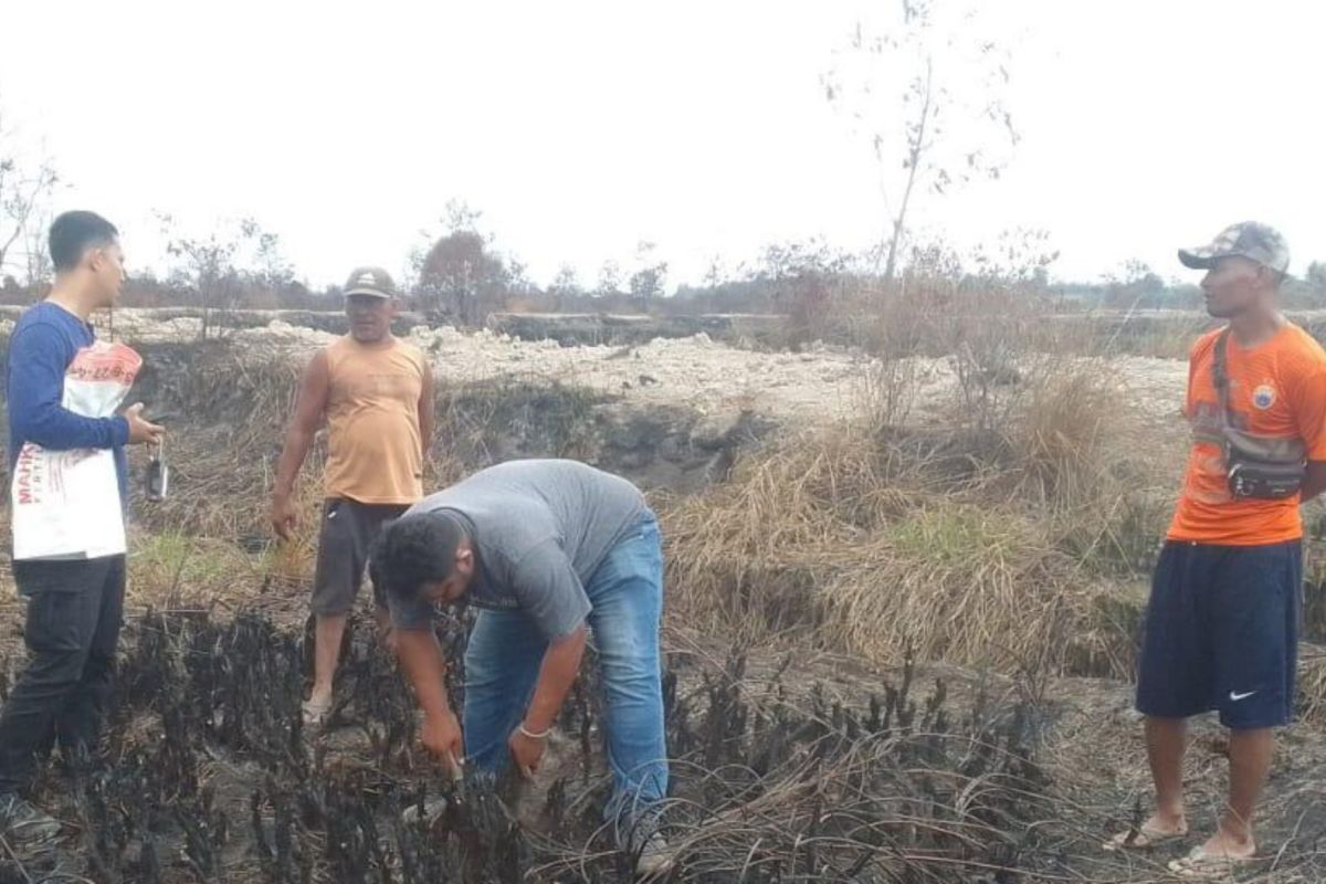 Polda Jambi selidiki karhutla terjadi di wilayah konsesi Tanjab Barat