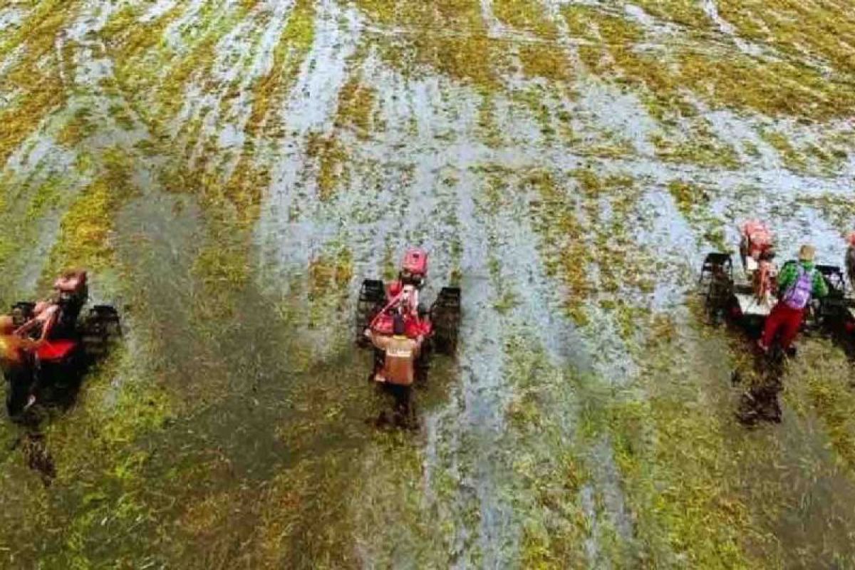 Kementan pastikan pengadaan alat dan mesin pertanian transparan