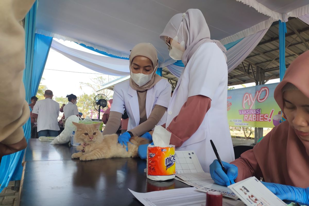 Balai Kesehatan Hewan Lampung sumbang PAD Rp110,8 juta hingga Agustus