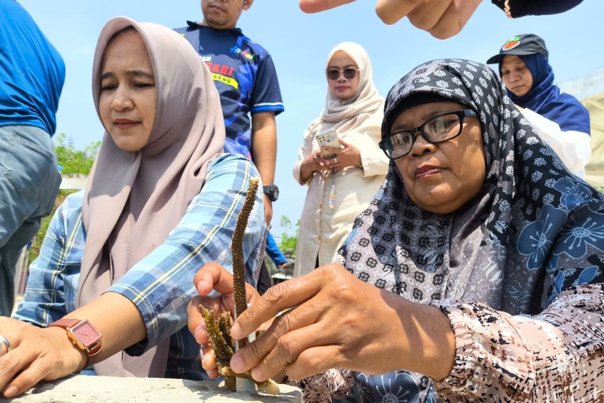 Pertamina Patra Niaga RJBB lestarikan terumbu karang Pulau Untung Jawa