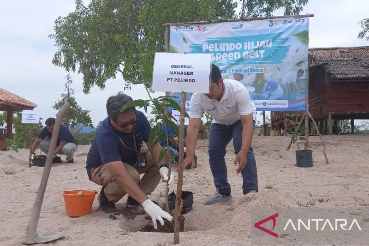 Pelindo Pangkalbalam tanam 700 pohon buah di Danau Wisata Pading Babel