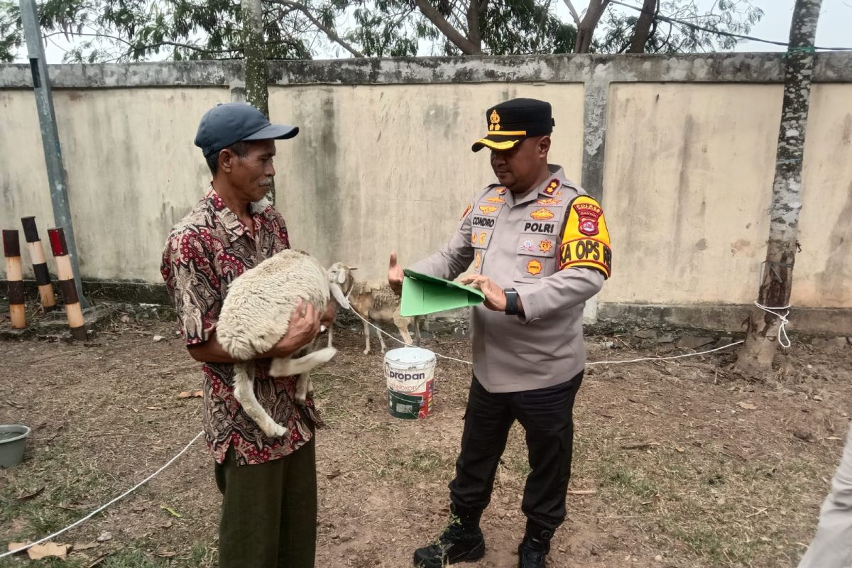 Polres Serang tangkap pelaku pencurian spesialis hewan ternak