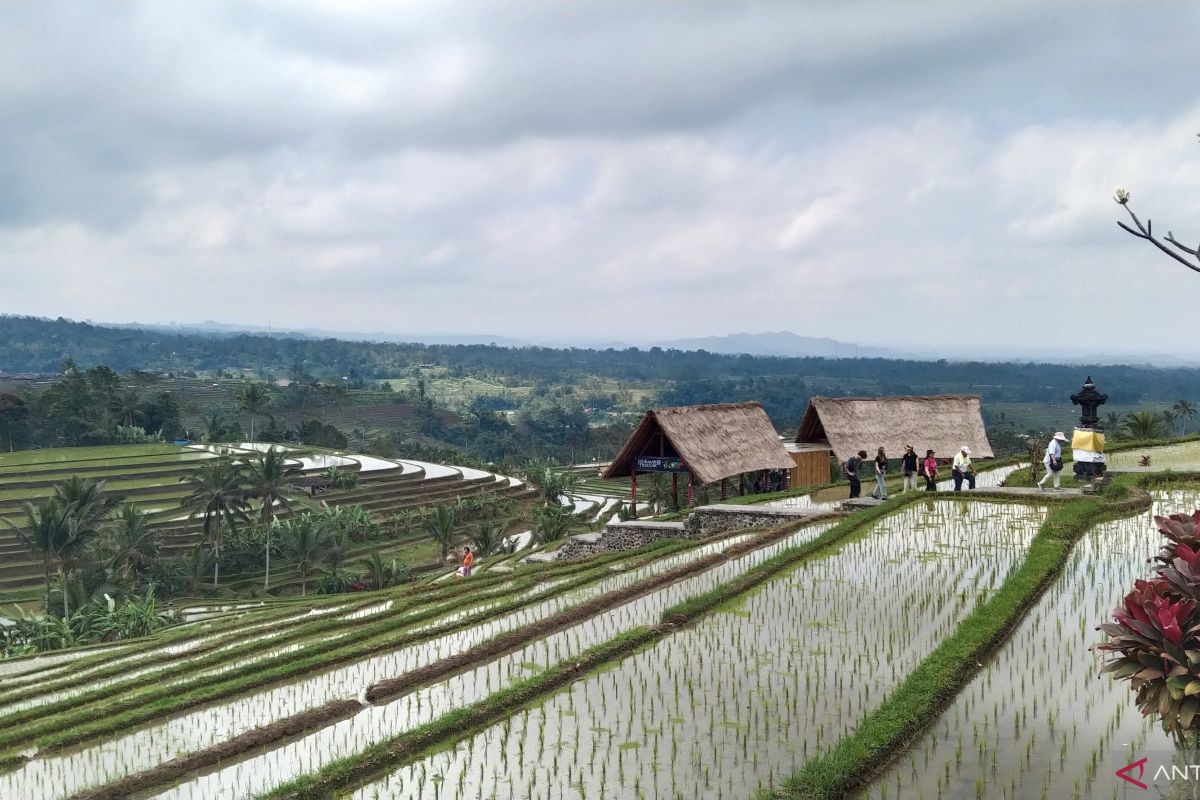 Menparekraf godok moratorium bangun hotel dan alih lahan  pertanian